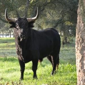 Meet your Posher, Gerardo